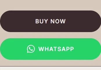 Canva Pro Template Pack (500+)